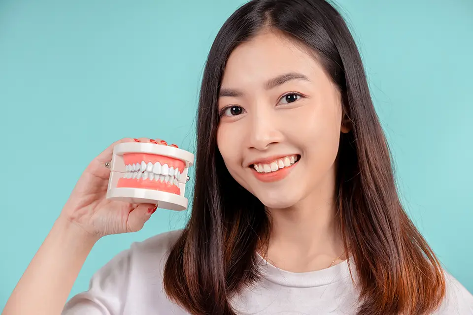 Front Teeth Bridge: Everything You Need to Know