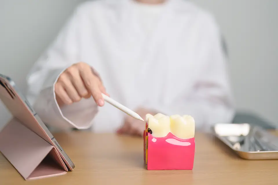 What to Do If Your Molar Tooth Breaks? Critical Tips You Need to Now