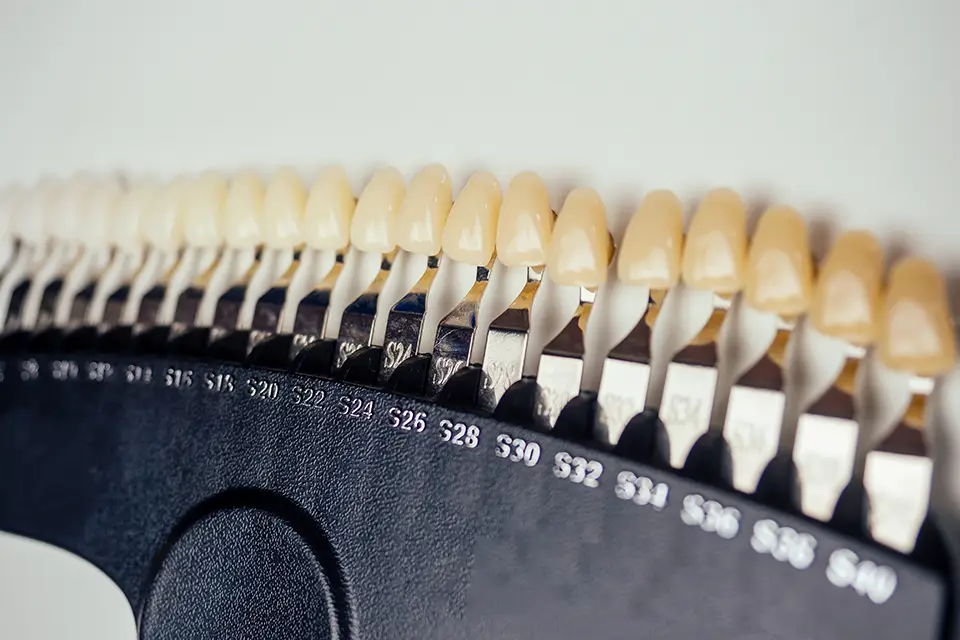 Teeth Numbers and Names: Everything You Need to Know for a Healthy Smile