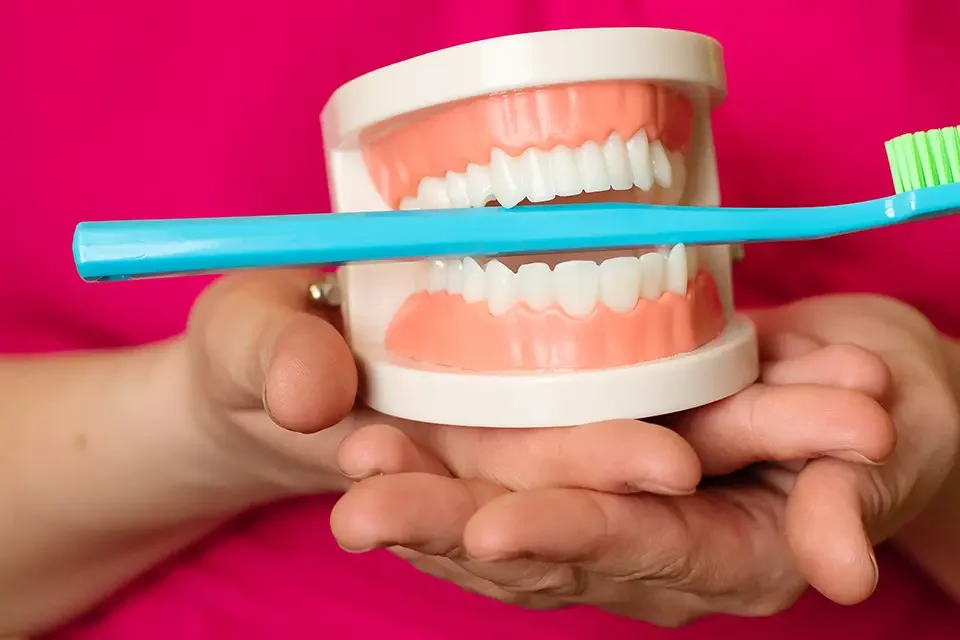 close-up-of-a-plastic-jaw-and-a-toothbrush ¿Es Seguro Usar Peróxido de Hidrógeno para Blanquear los Dientes?