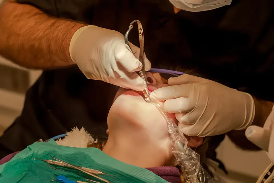 dental examination Step-by-Step Guide to the Root Canal Procedure